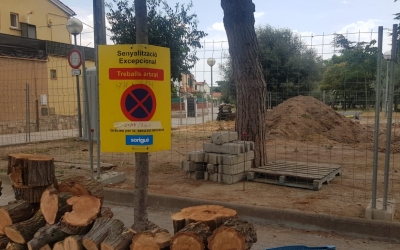 La remodelacoó del parc infantil del barri comporta la supressió i el trasllat d'algunes espècies | Raquel García